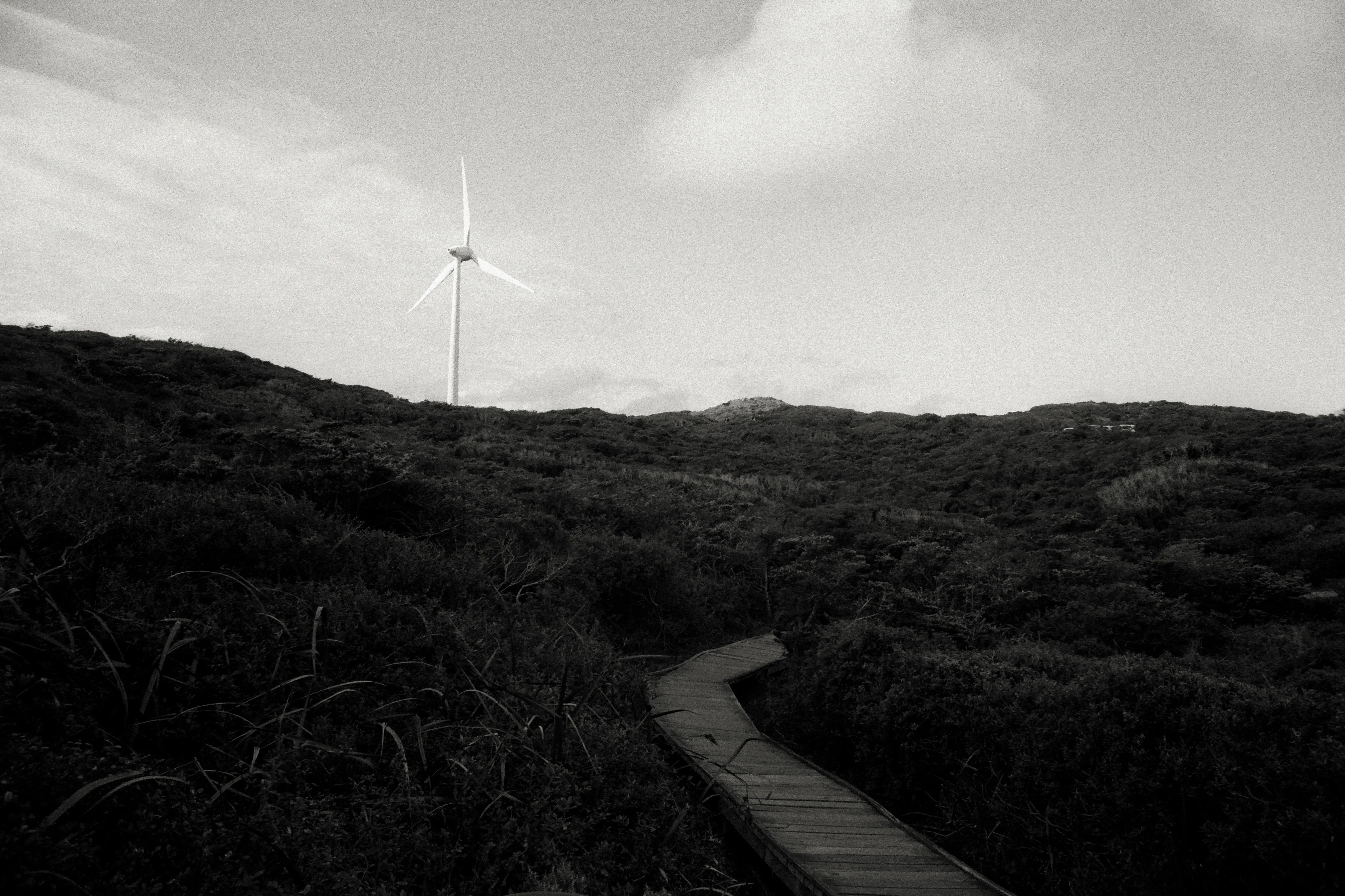 a dark path leads up to a windfarm
